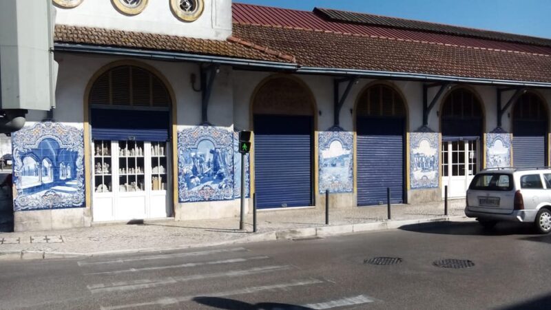 Santarem: Tour to the milenar city of Julius Cesar - What Makes This Tour Special