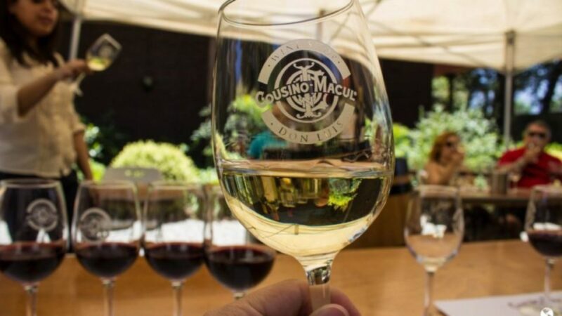 Santiago: Cousiño Macul Official Winery Tour With Tasting - Inclusions and Transportation