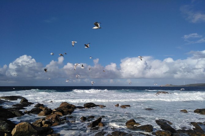 Santiago De Compostela: Finisterre, Muxía & Costa Da Morte - Reviews and Ratings