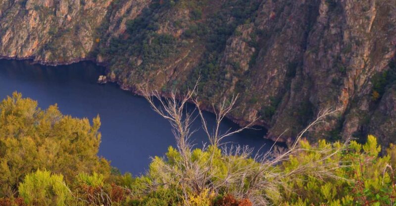 Santiago De Compostela: Galicia & the Ribeira Sacra Day Trip - Itinerary Highlights