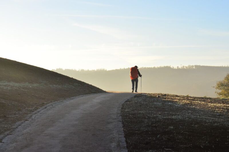 Santiago De Compostela: Private Walking Tour - Key Points