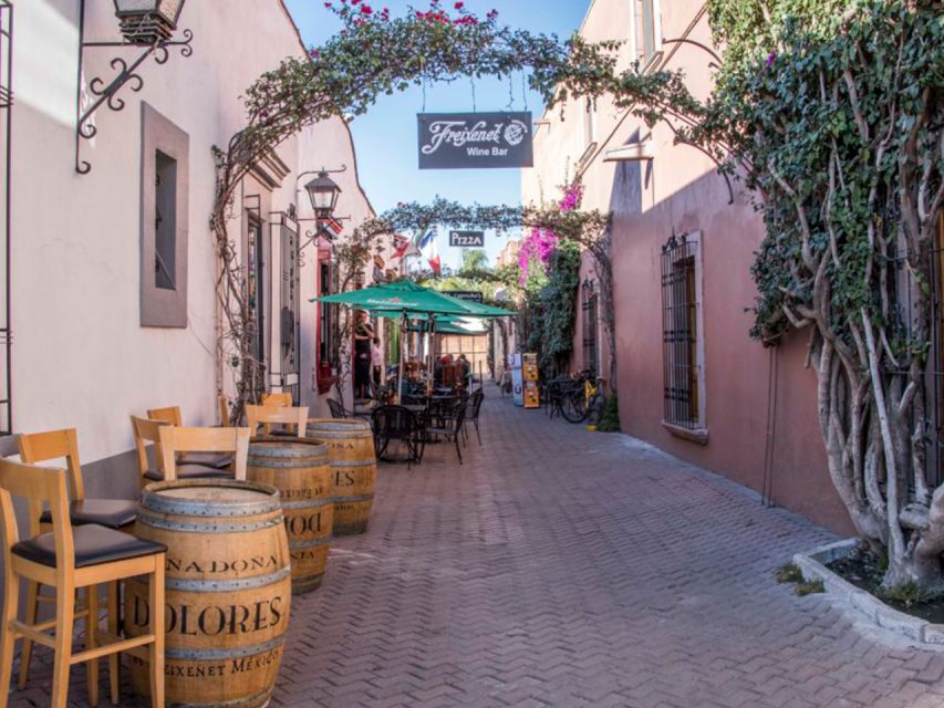 Santiago De Querétaro: Pueblos Mágicos Cheese and Wine Route - What to Bring