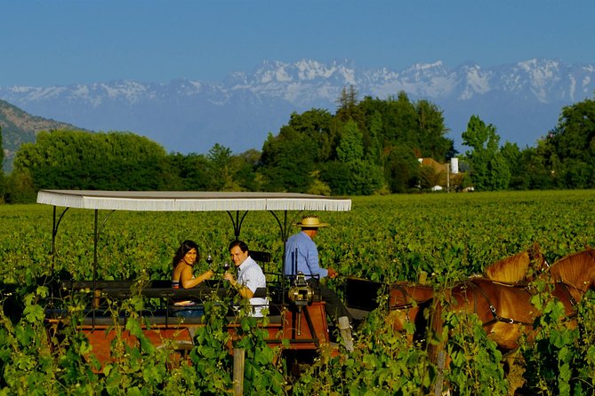 Santiago Full Day Tour to Colchahua Valley, Include Entraces - About Your Stay