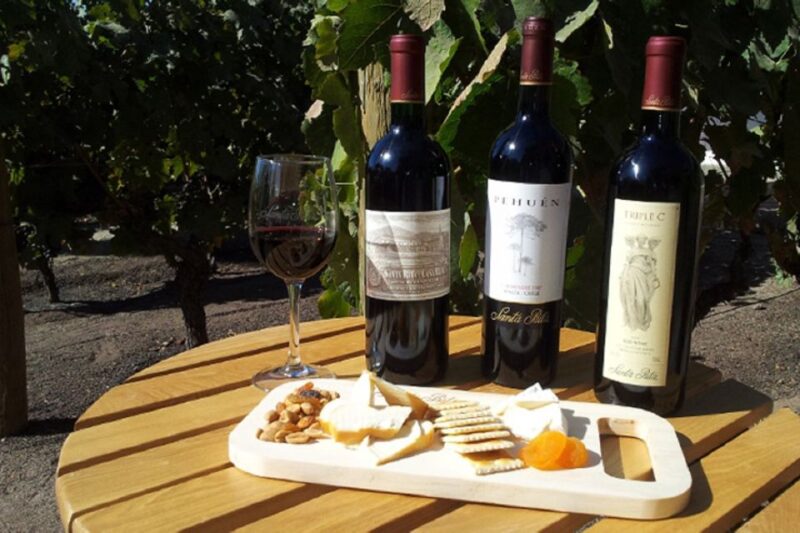 Santiago: Half–Day Santa Rita Vineyard Tour - Tour Logistics and Inclusions