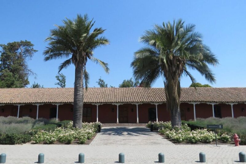 Santiago: Half–Day Santa Rita Vineyard Tour - Booking and Cancellation Policy