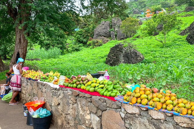 Santiago Island Tour: Meet With a Local Family & Tarrafal Beach - Customer Reviews and Feedback