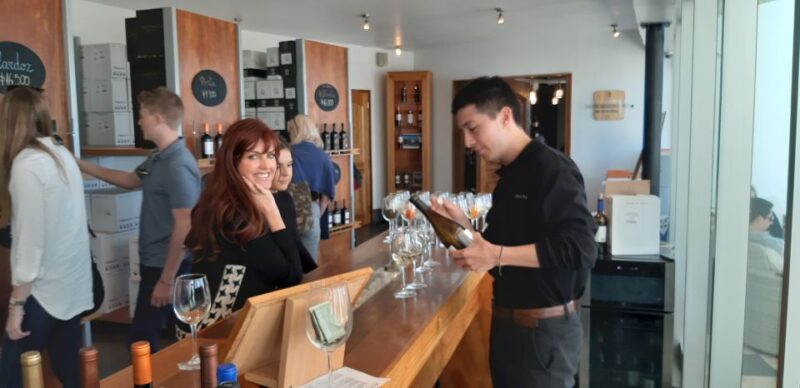Santiago: Main Chilean Wineries Private Half-Day Tours - Key Points