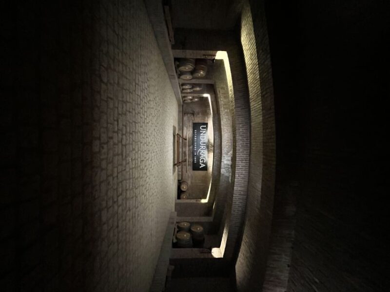 Santiago: Undurraga Winery Tour With Entry and Wine Tasting - Location and Significance