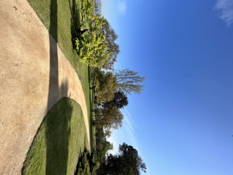 Santiago: Undurraga Winery Tour With Entry and Wine Tasting - Tour Activities