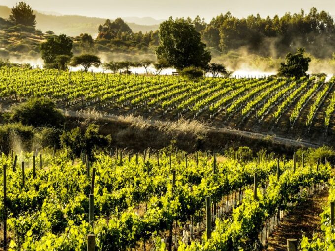 Santiago: Viña Del Mar, Valparaiso, Casablanca & Reñaca Tour - Frequently Asked Questions