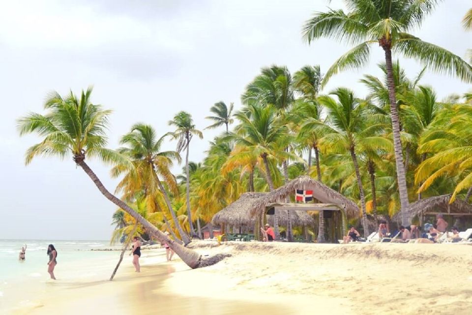 Santo Domingo: Catamaran Boat to Saona Island With Lunch - Starfish Viewing