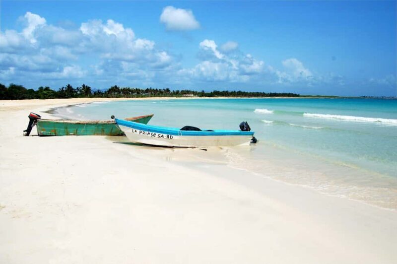 Santo Domingo: Catamaran to Saona An Unforgettable Journey - Practical Details and Considerations