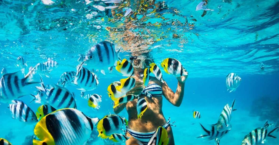 Santo Domingo: Catamaran With Snorkel, Open Bar and Lunch - Key Points