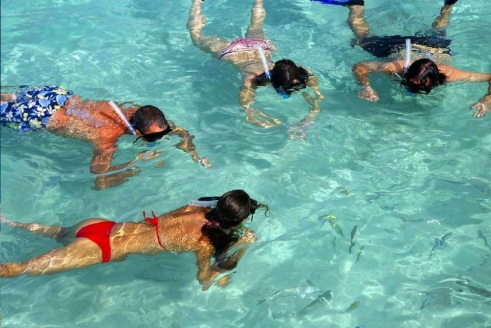 Santo Domingo: Catamaran With Snorkel, Open Bar and Lunch - Catalina Island Visit