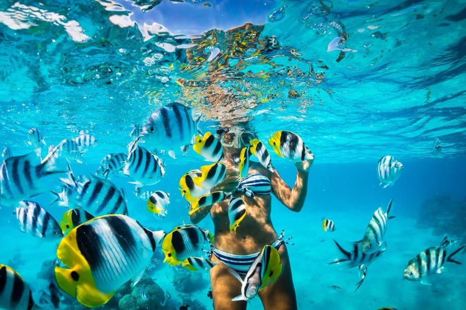 Santo Domingo: Catamaran With Snorkel, Open Bar and Lunch - Frequently Asked Questions