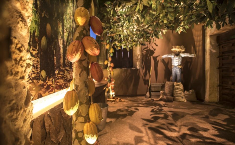 Santo Domingo: Chocolate Tour + Optional Workshops - Spanish Patio Machinery
