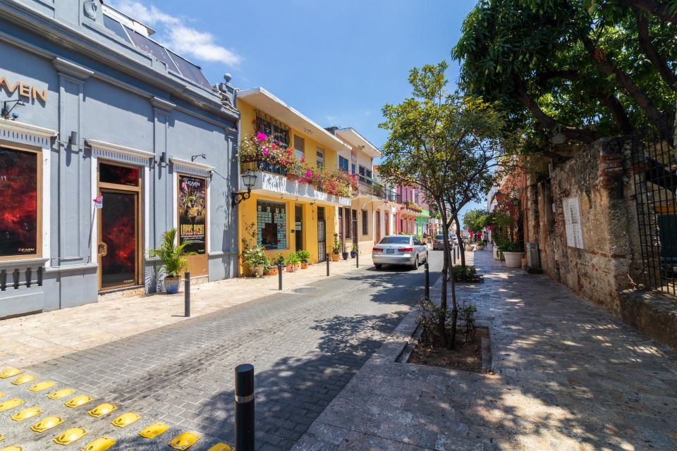 Santo Domingo City Tour: Colonial City, Los Tres Ojos, Lunch - Alcázar De Colón