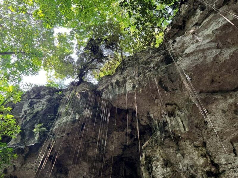 Santo Domingo City Tour From Punta Cana - Guides and Cultural Insight