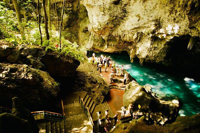 Santo Domingo Full Day Tour From Punta Cana with Lunch & Cenote - What the Tour Entails: An In-Depth Look