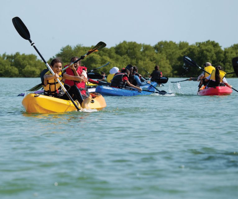 Santo Domingo: Guided Hike and Kayaking in Los Haitises - Kayaking Experience