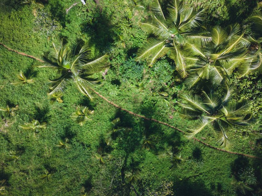 Santo Domingo: Guided Hike and Kayaking in Los Haitises - Included and Excluded