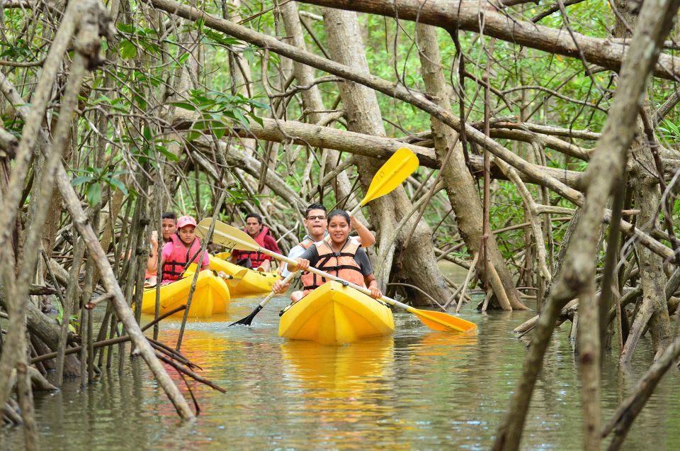 Santo Domingo: Guided Hike and Kayaking in Los Haitises - Exploring the Parks Terrain