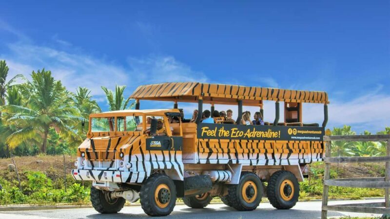 Santo Domingo: Higüey City Tour with Basilica & Market Visit - Key Points