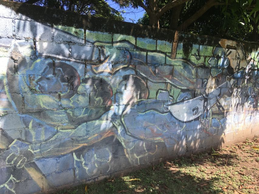 Santo Domingo: History of Slavery Guided Tour - Restrictions and Requirements