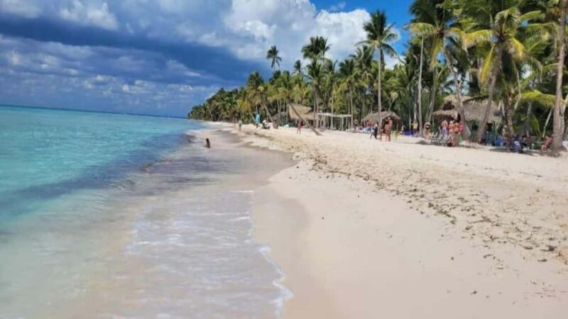 Santo Domingo: Isla Saona Day Trip with Lunch & Drinks - Key Points
