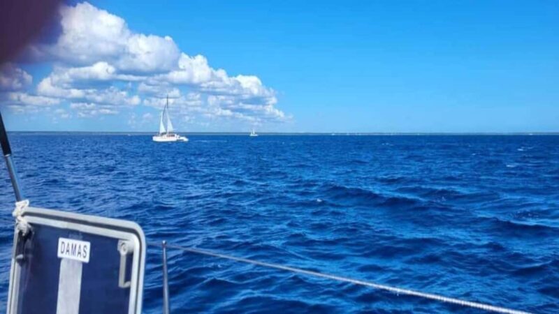 Santo Domingo: Isla Saona Day Trip with Lunch & Drinks - Who Will Enjoy This Tour?