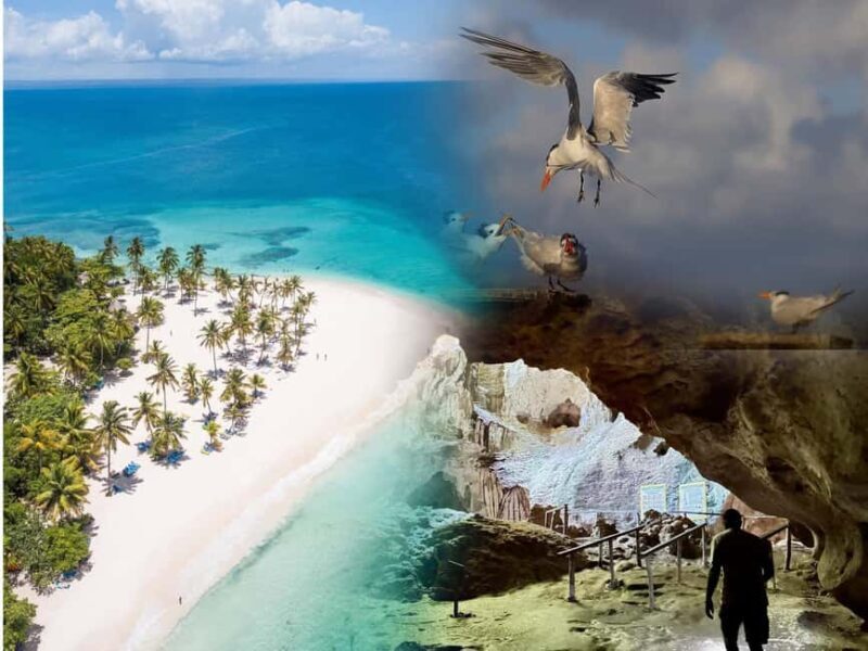 Santo Domingo: Los Haitises & Cayo Levantado Island - Who Will Love This Tour?