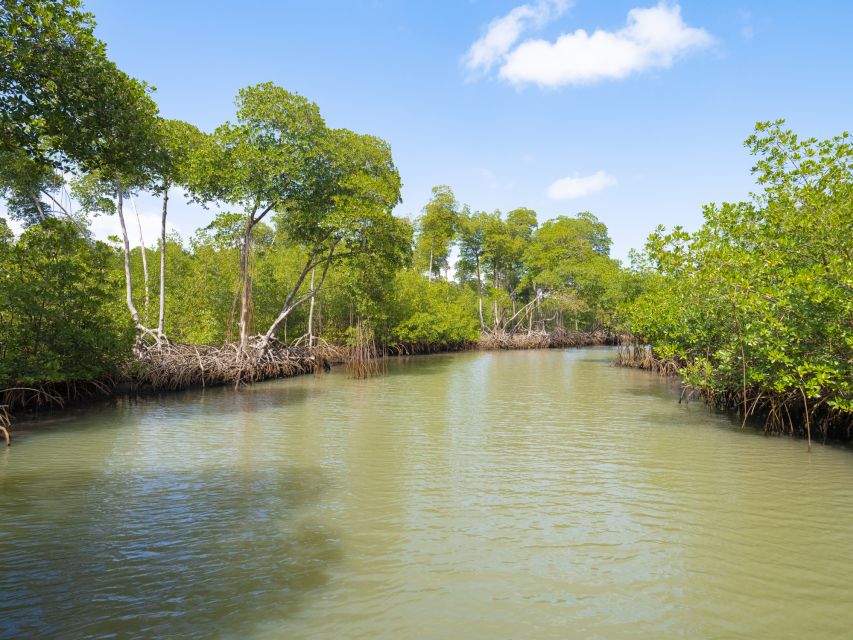 Santo Domingo: Los Haitises National Park Day Trip - Highlights