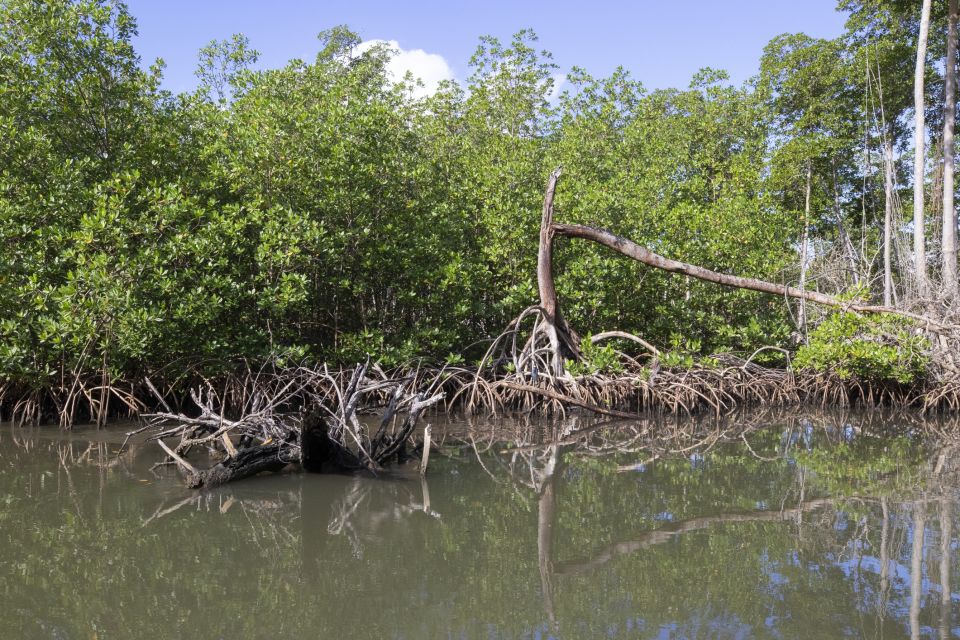 Santo Domingo: Los Haitises National Park Day Trip - Visit Secluded Town