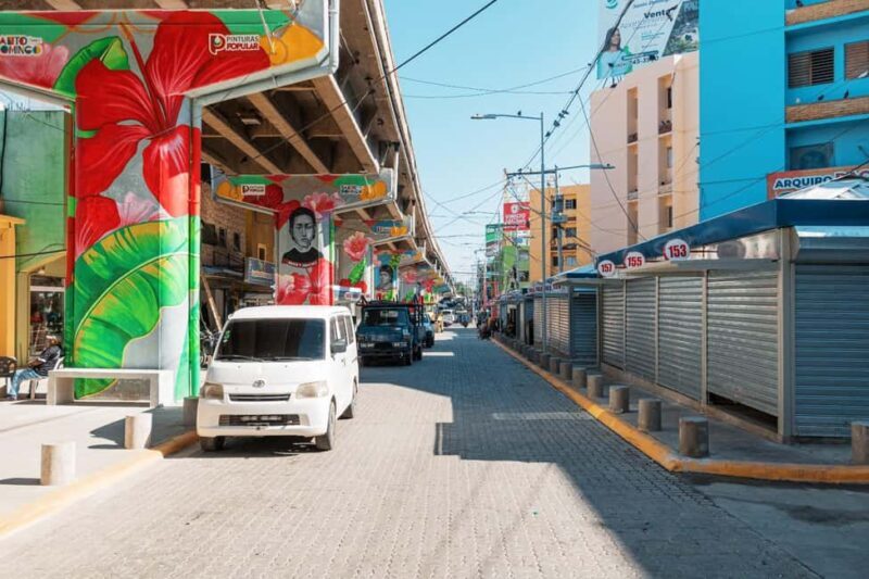 Santo Domingo: Los Mina, The Flea, Juan Dolio & Karaoke Tour - Who Should Consider This Tour?