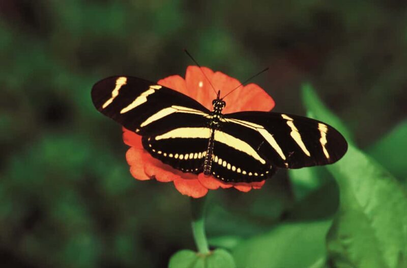 Santo Domingo: Natural Treasures of the City - Final Thoughts