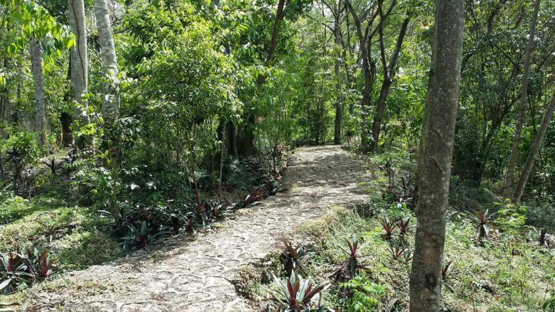 Santo Domingo: Natural Treasures of the City - FAQ