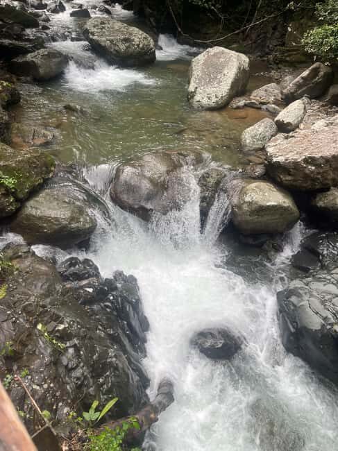 Santo Domingo: Paradisiac Waterfall & Lunch Cooked Over Wood - Summary: Who Is This Tour Best For?