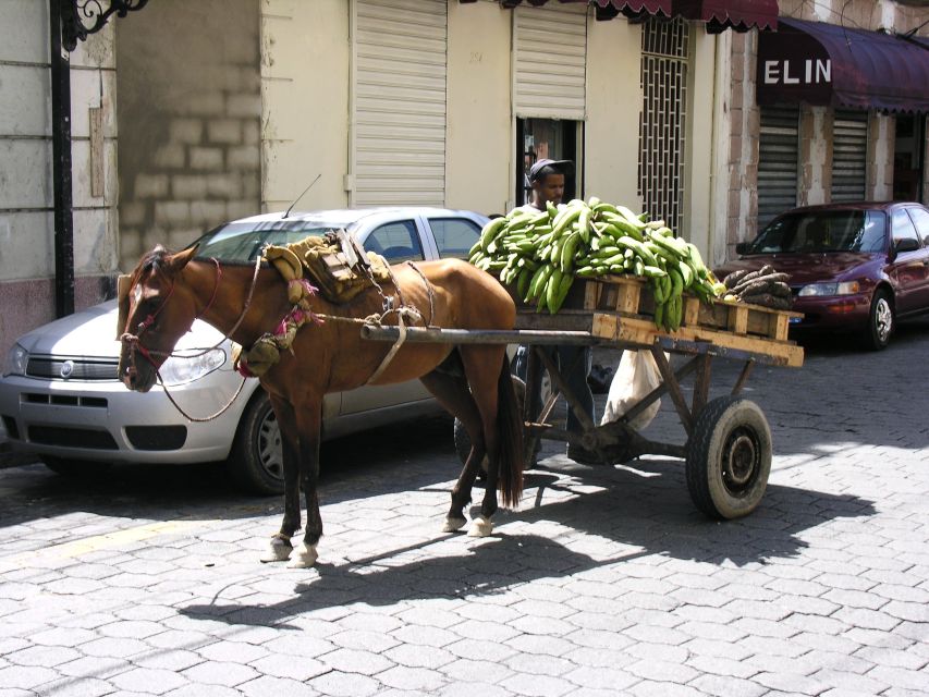 Santo Domingo: Private Family-Friendly Walking Tour - Key Points