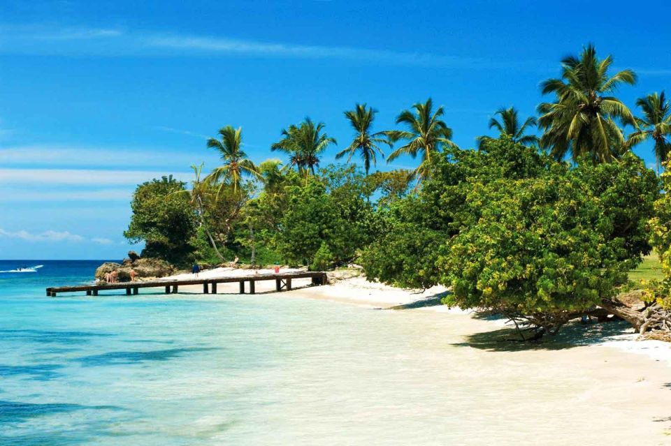 Santo Domingo: Whale Watching and Barcadi Island Full Day - Key Points