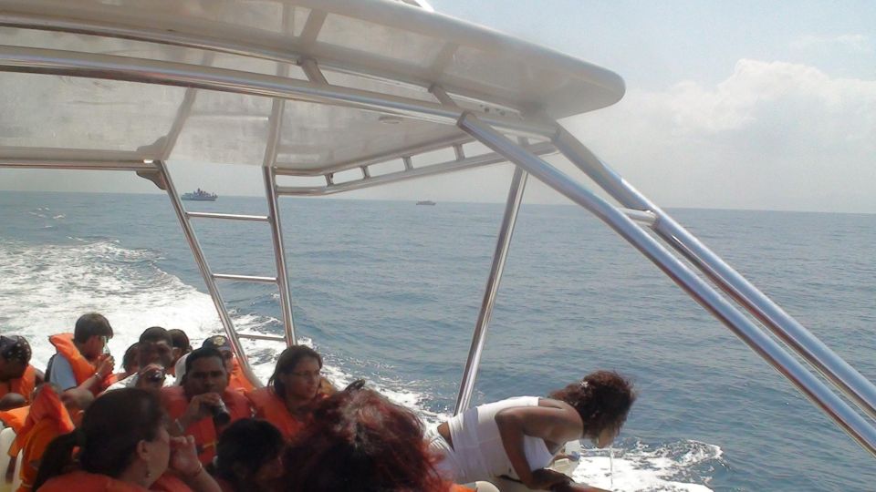 Santo Domingo: Whale Watching and Barcadi Island Full Day - Booking and Scheduling