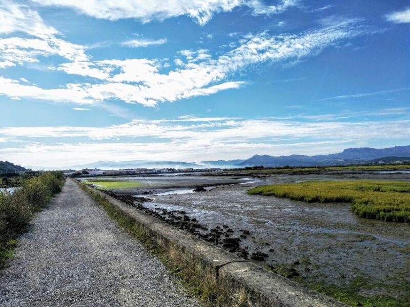 Santona: Canning Factory and the Marshes Tour With Tasting - Experience Highlights