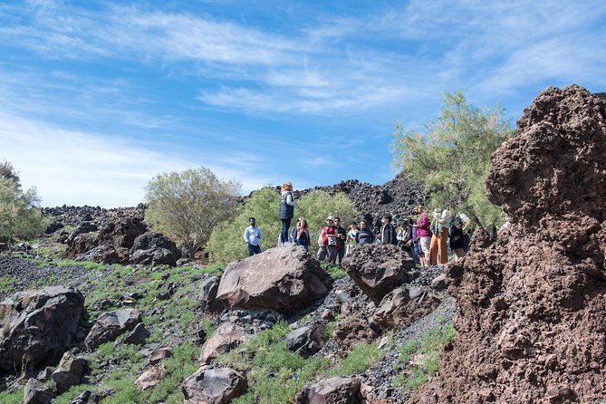 Santorin Caldera and Thirasia Island Cruise  - Santorini - Additional Tour Information