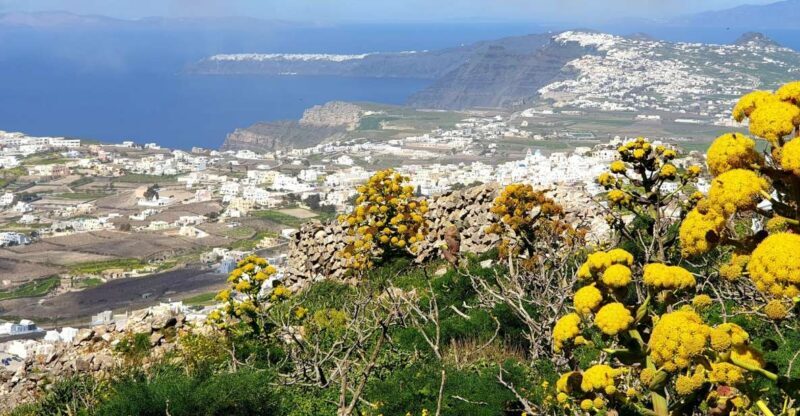 Santorini: 4hr Private Accessible Panoramic Views Tour - The Sum Up