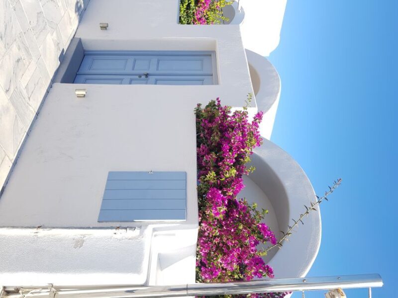 Santorini: 4hr Small Group Shore Excursion with Minimum Walk - What We Think About the Transportation and Timing