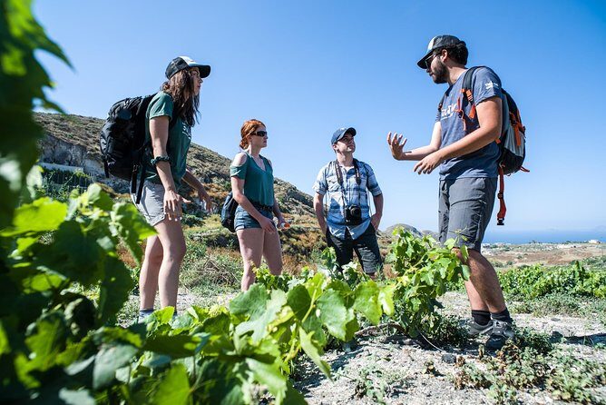 Santorini : Cooking Class & Easy Hike - A Deep Dive into the Santorini Hiking and Cooking Tour