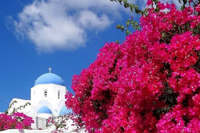 Santorini Delights: A Cruise Passenger's Dream Day - Key Points