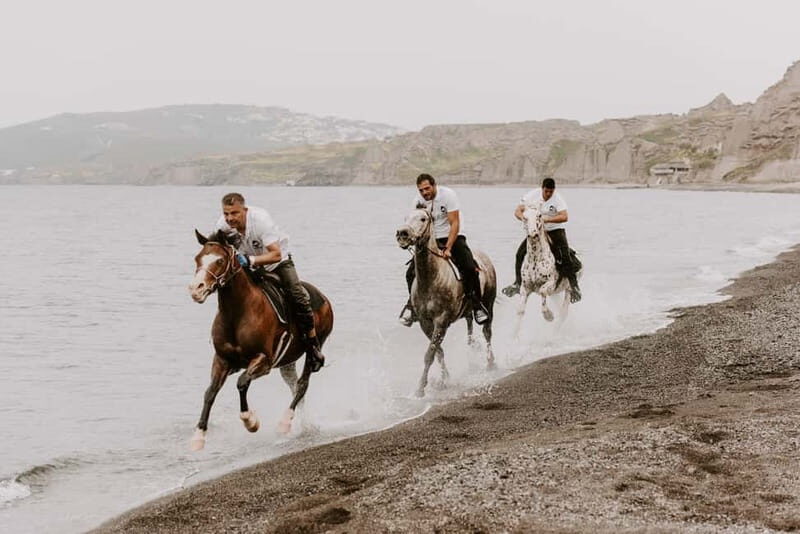Santorini: Extreme Horse Safari - An In-Depth Look at the Santorini Horse Safari
