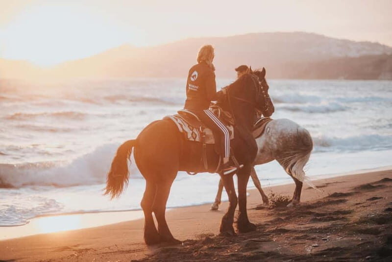 Santorini: Extreme Horse Safari - The Sum Up: Is It Worth It?
