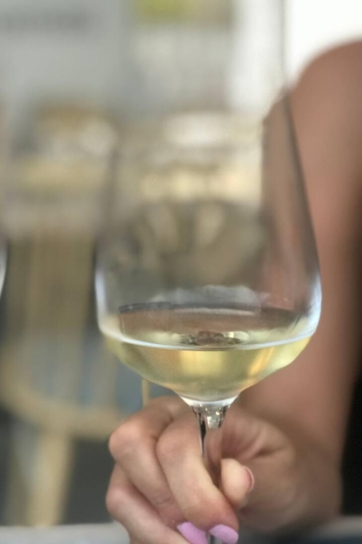 Santorini Fun Wine tour-Visit 2 Wineries-transfers included - A Closer Look at the Santorini Fun Wine Tour