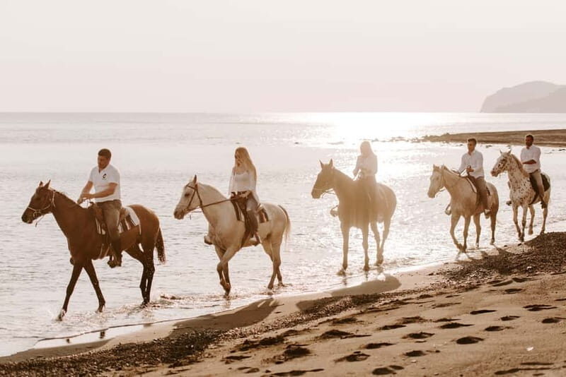Santorini: Horseback Riding on the Black Sandy Eros Beach - The Return and Refreshments